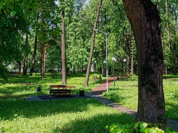 Ombre Sul Sentiero Delle Piastrelle Nel Parco Estate — Foto Stock