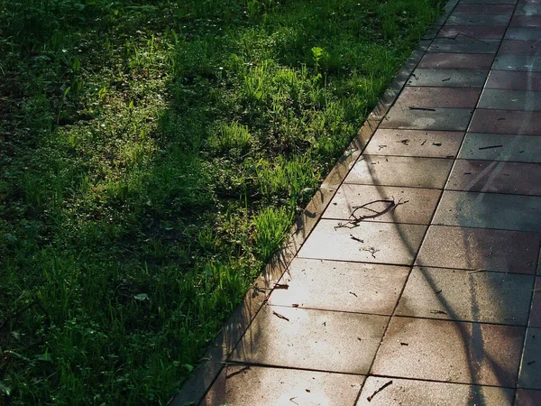 Schaduwen Het Pad Van Tegels Het Park Zomer — Stockfoto