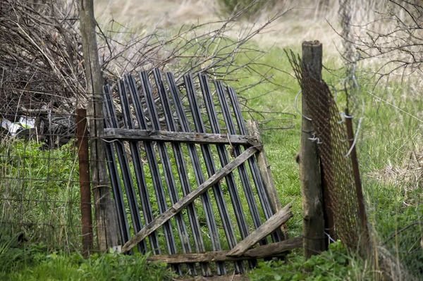 Régi Kapu Kerítésben Tavasszal — Stock Fotó