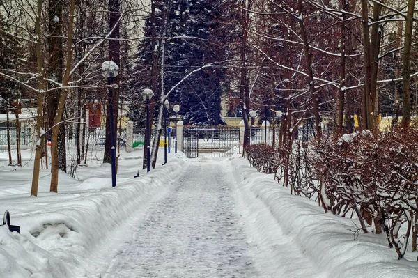 Luces Calle Nieve Parque Moscú — Foto de Stock