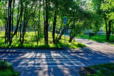 Sabahın erken saatlerinde, yazın yaya geçidi.