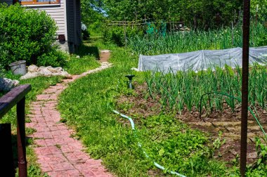 Yazın bahçede fayans geçidi.