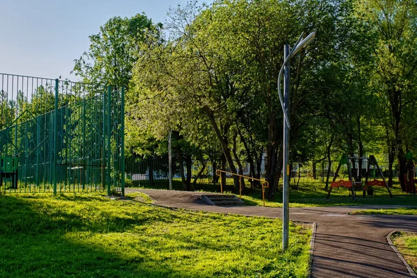 Camino Pavimentado Través Del Parque Por Mañana Verano — Foto de Stock