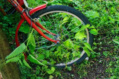old red bicycle in the garden, in the summer