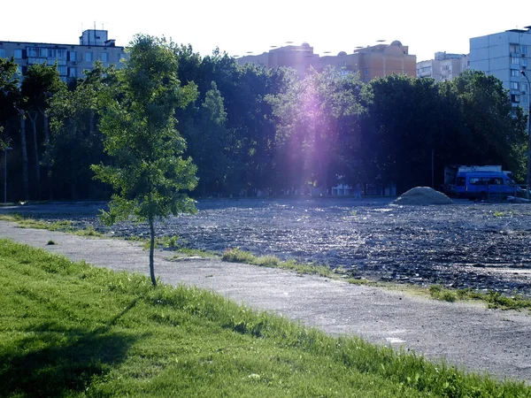 Camino Pavimentado Parque Día Claro Verano — Foto de Stock