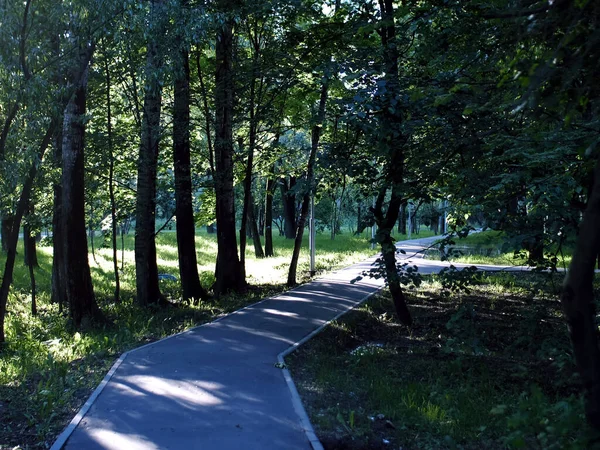 Kövezett Útvonal Parkban Egy Tiszta Nyári Napon — Stock Fotó