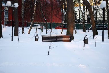 Bulutlu bir günde karla kaplı park, Moskova