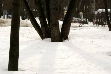 Bulutlu bir günde karla kaplı park, Moskova