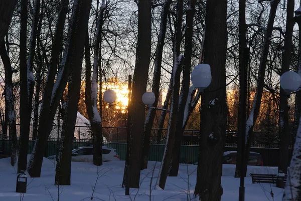 Sentier Pavé Dans Parc Dans Neige Hiver — Photo