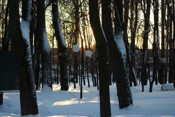 Parque Cubierto Nieve Día Nublado Moscú — Foto de Stock