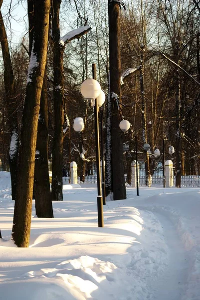 Lampadaire Rond Dans Parc Pendant Journée Hiver — Photo