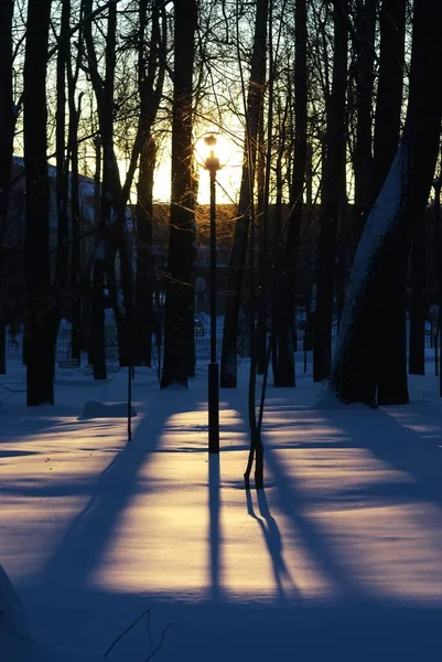 Rundgatlykta Parken Dagen Vintern — Stockfoto
