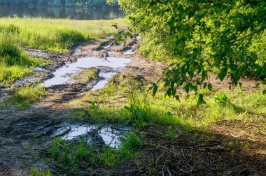 Nehir kıyısında açık bir yaz gününde
