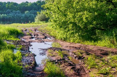 Nehir kıyısında açık bir yaz gününde