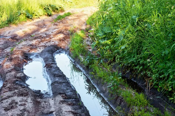 Feldweg Durch Ein Feld Sommer — Stockfoto