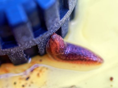 Yazın çocuk oyuncağının yanında sümüklü böcek.