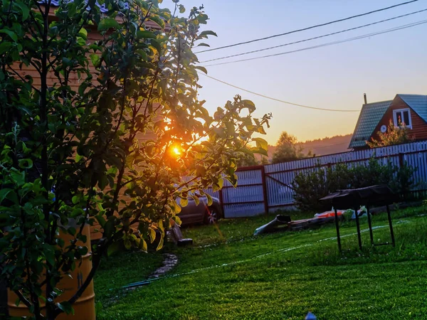 Luz Del Atardecer Jardín Verano — Foto de Stock