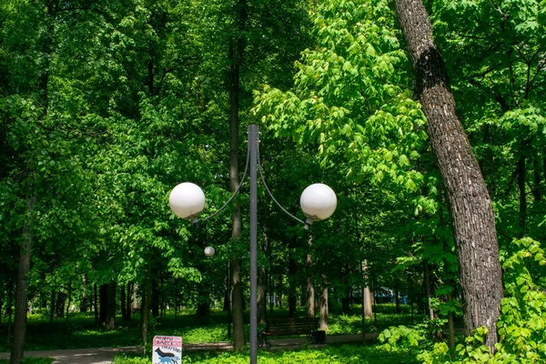 Okrągłe Światła Uliczne Parku Lato — Zdjęcie stockowe