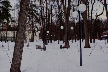 Moskova 'da kış bulutlu bir gün.