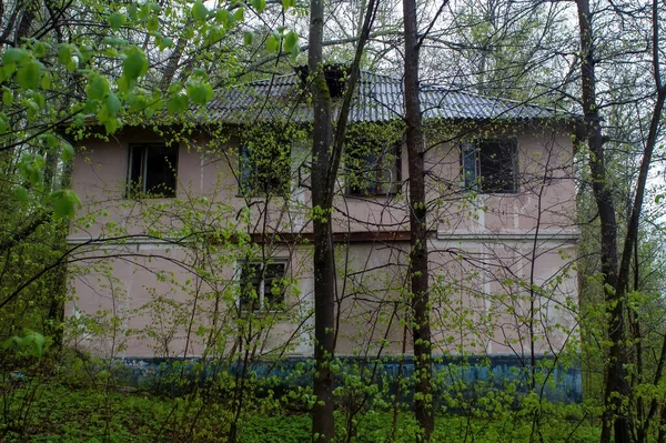 Casa Abandonada Dois Andares Floresta Primavera — Fotografia de Stock