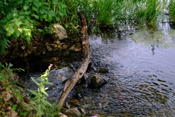 Pequeño Río Soleado Día Verano Rusia — Foto de Stock