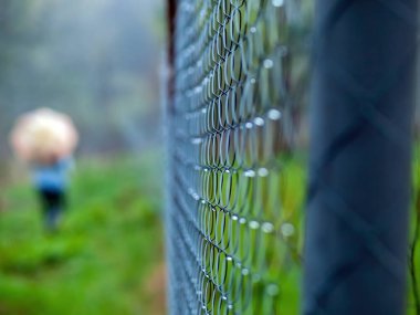 İlkbaharda banliyö bölgesinin çitlerinden.