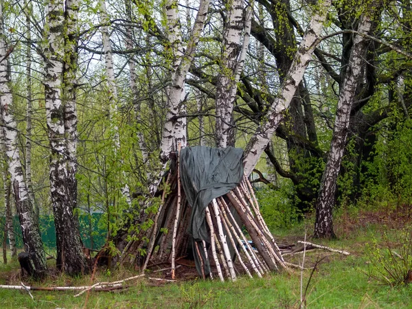 森林里的小茅屋 — 图库照片