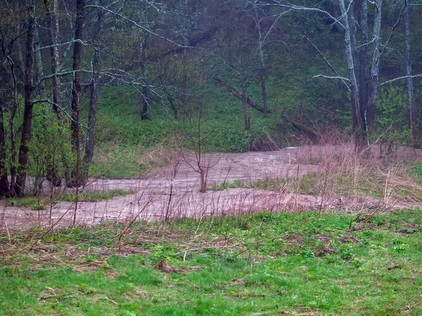 Turbulenter Bach Wald Aus Geschmolzenem Schnee Frühling — Stockfoto