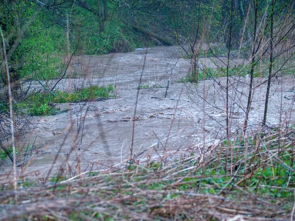 Turbulente Beek Het Bos Van Gesmolten Sneeuw Het Voorjaar — Stockfoto