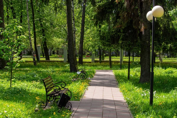 Tile Path Forest Summer — Stock Photo, Image
