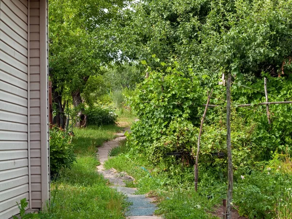 Calea Prin Grădină Sat Timpul Verii — Fotografie, imagine de stoc
