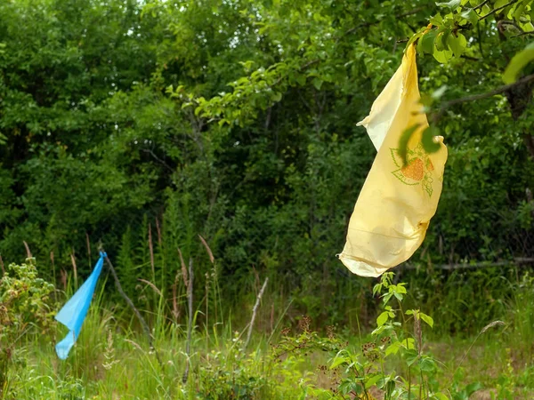 stock image plastic bag scares away birds in the garden, in summer