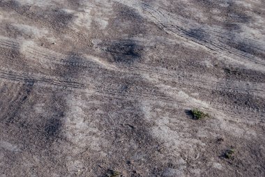 Yağmurdan sonra, kumda araba lastiği izleri var.