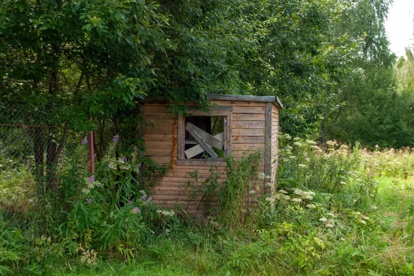 Grange Abandonnée Sous Arbre Été — Photo