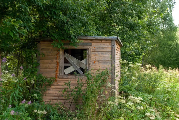 Grange Abandonnée Sous Arbre Été — Photo