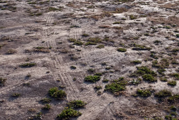 Spuren Von Autoreifen Sand Nach Dem Regen — Stockfoto