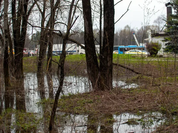 Chemin Terre Sale Travers Parc Printemps Moscou — Photo