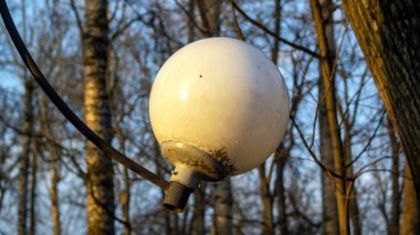 İlkbaharda parkta yuvarlak bir fener.