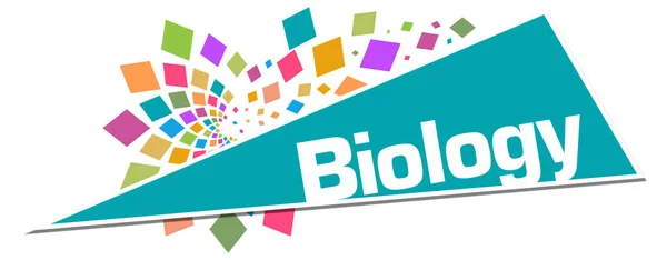 Testo Biologia Scritto Sfondo Colorato — Foto Stock