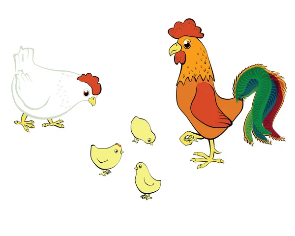 Csirke, tyúk- és kakas — Stock Vector