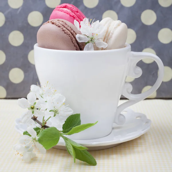 Tres macarrones franceses dulces y coloridos diferentes en taza y —  Fotos de Stock