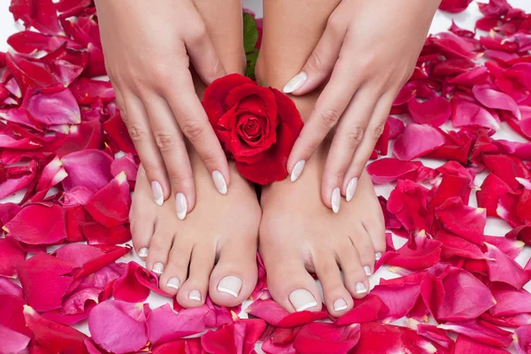 Beautiful womans hands and feet — Stock Photo, Image