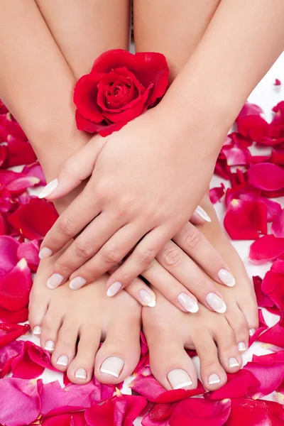 Beautiful woman's hands and legs with red rose petals — Stock Photo, Image