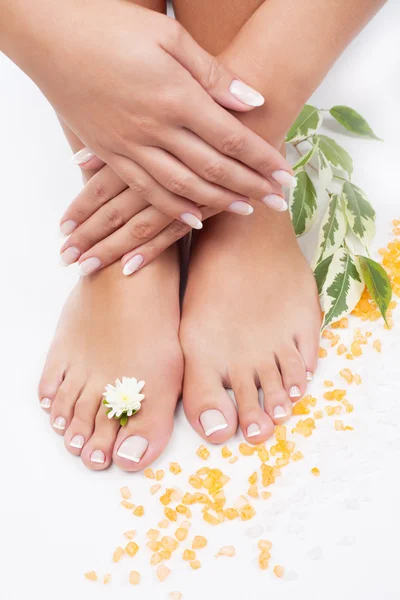 Beautiful woman's hands and legs — Stock Photo, Image