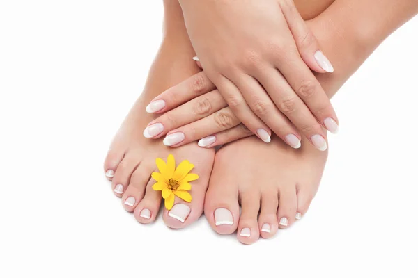 Beautiful woman's hands and legs — Stock Photo, Image