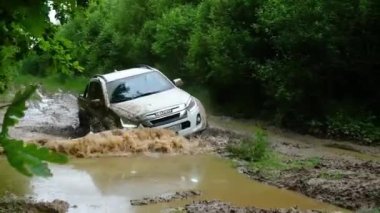 Çamur ve su birikintileri arasında ormanda pikaplar.