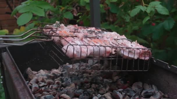 La grata con pollo gira il braciere con i carboni ardenti — Video Stock