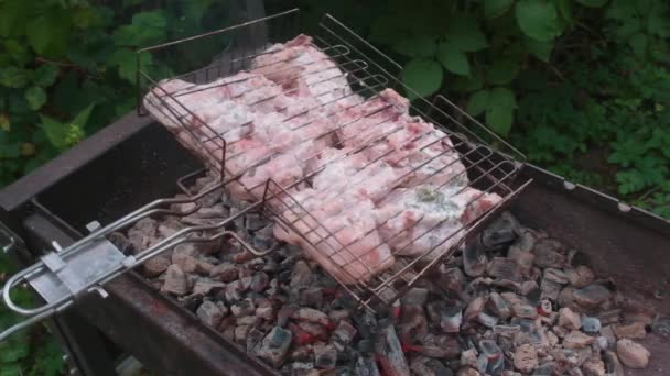 Grate with chicken turns over brazier with the burning coals — Stock Video