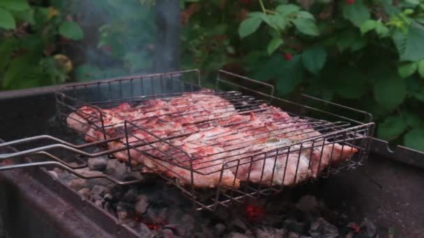 Közeli csirke fűszernövényekkel, füsttel és forró levegővel töltött parázson sütve — Stock videók