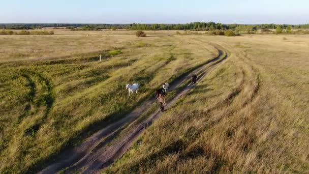 Aerial shooting of two people in a field on monowheels — Stock Video